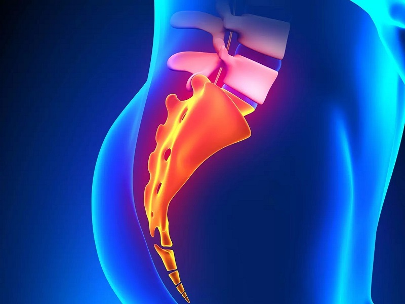 Развитие эпителиально-копчикового хода